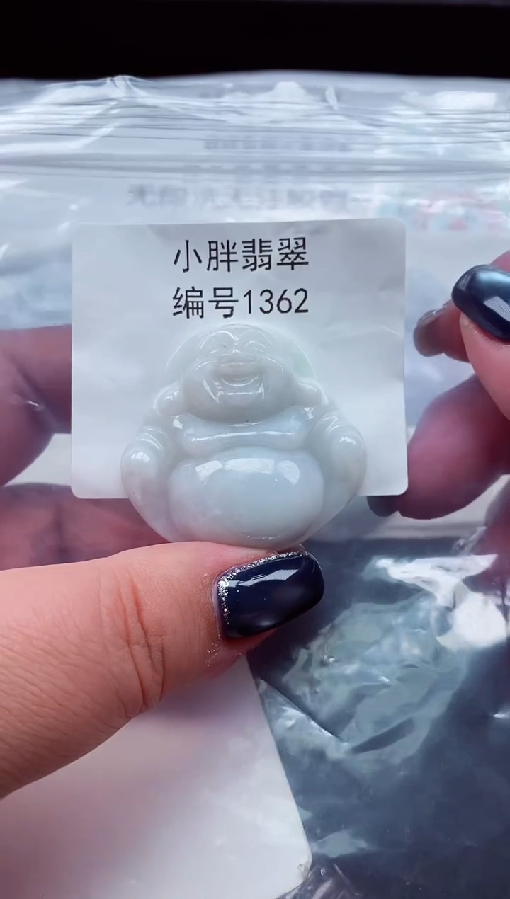 颈饰未镶嵌翡翠缅甸天然A货翡翠1362