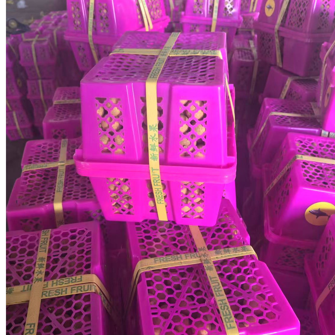 【年货礼盒】】泰国金标龙眼1-20斤包邮大帅