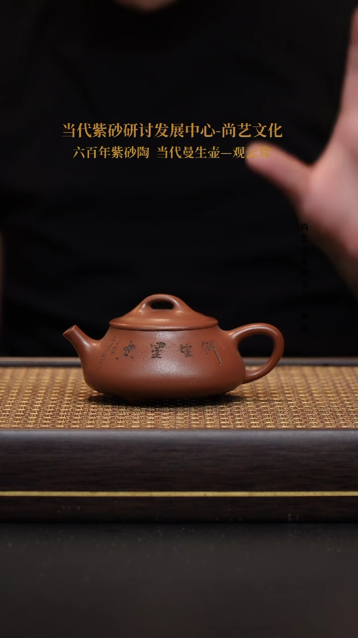 茶壶紫砂宜兴紫砂壶仰望星辰