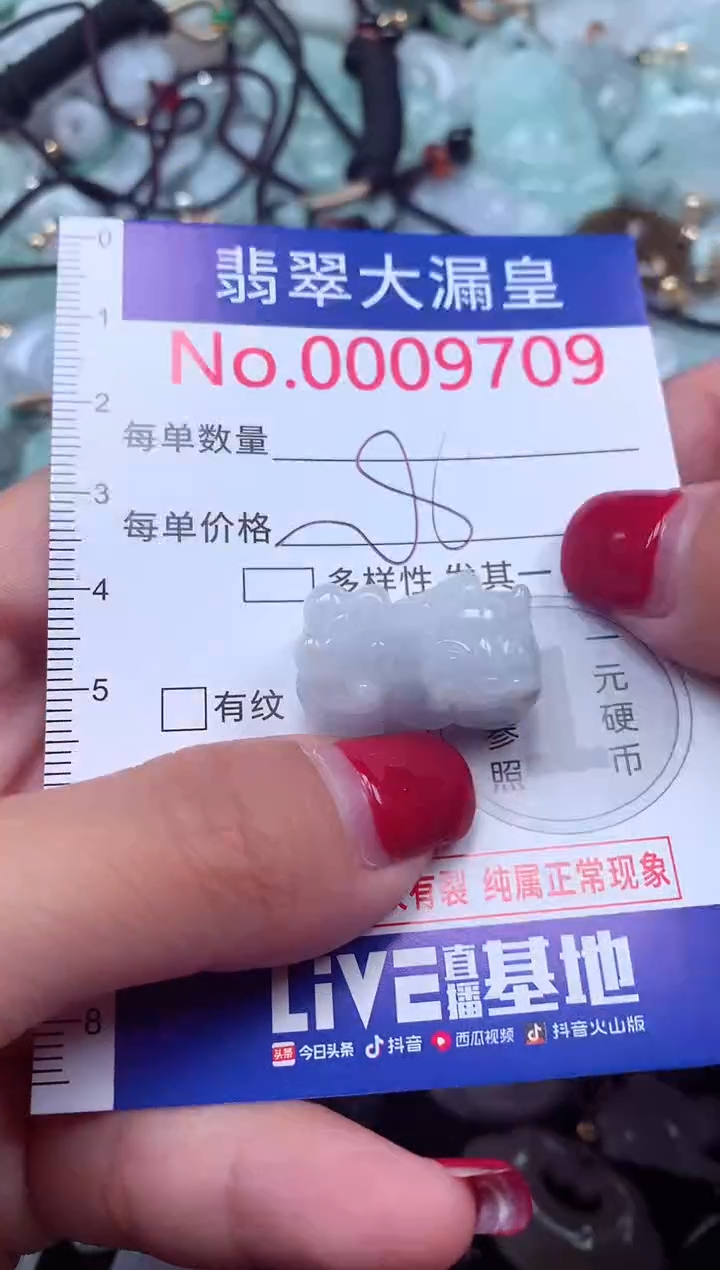 颈饰未镶嵌翡翠9709