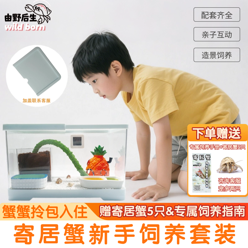 寄居蟹饲养箱豪华新手套装小型桌面爬宠盒生态饲养缸造景儿童礼物