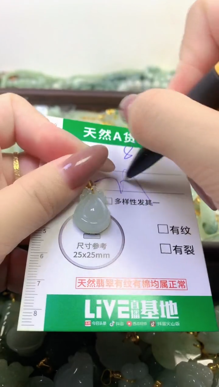 颈饰未镶嵌翡翠纯天然缅甸A货翡翠