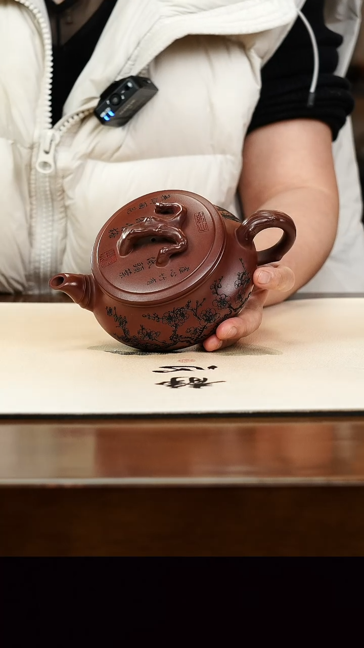 茶壶紫砂宜兴正品原矿紫砂壶孤品