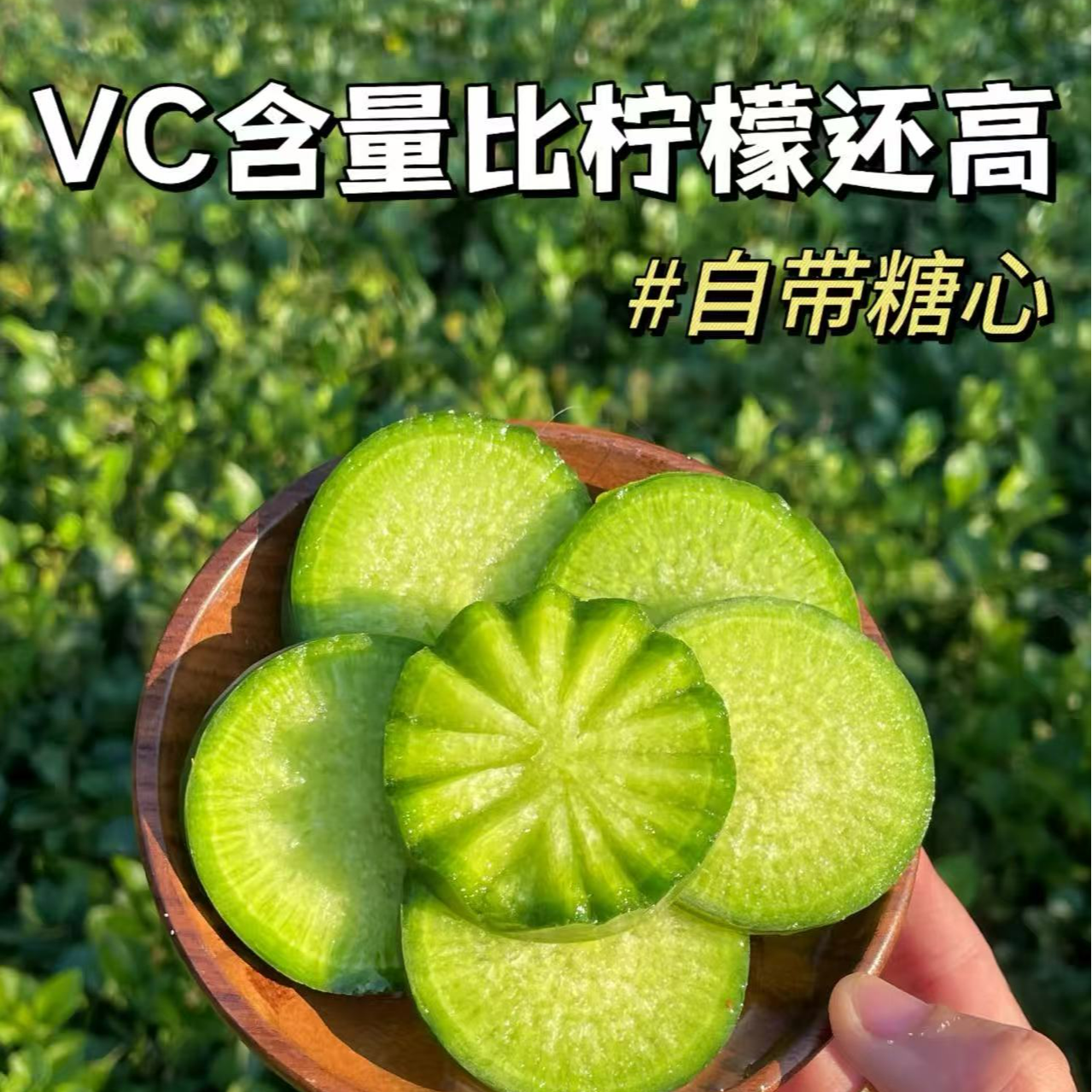 正宗水果萝卜-很好吃解（脆甜）萝卜