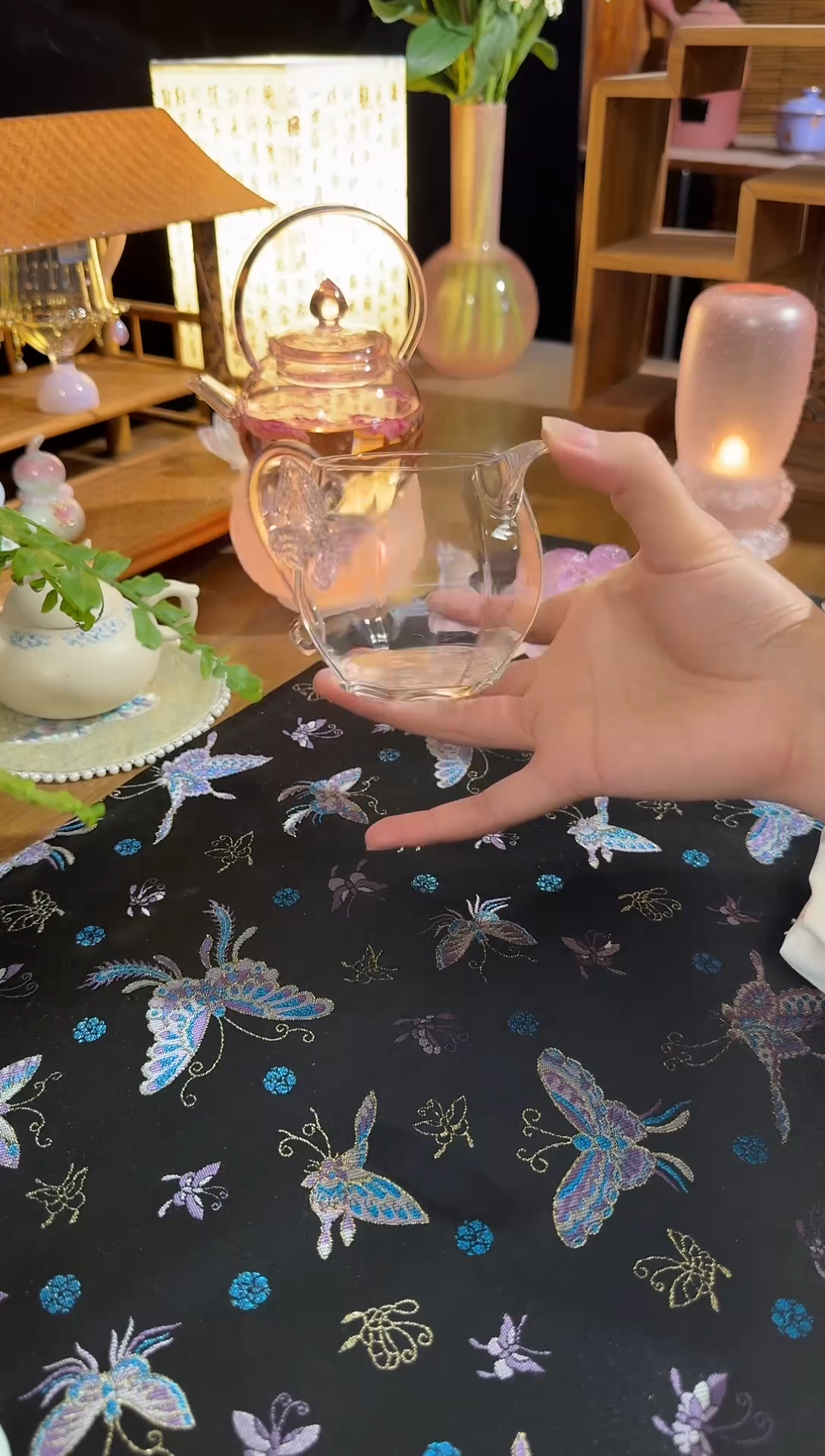 蝴蝶  公杯      