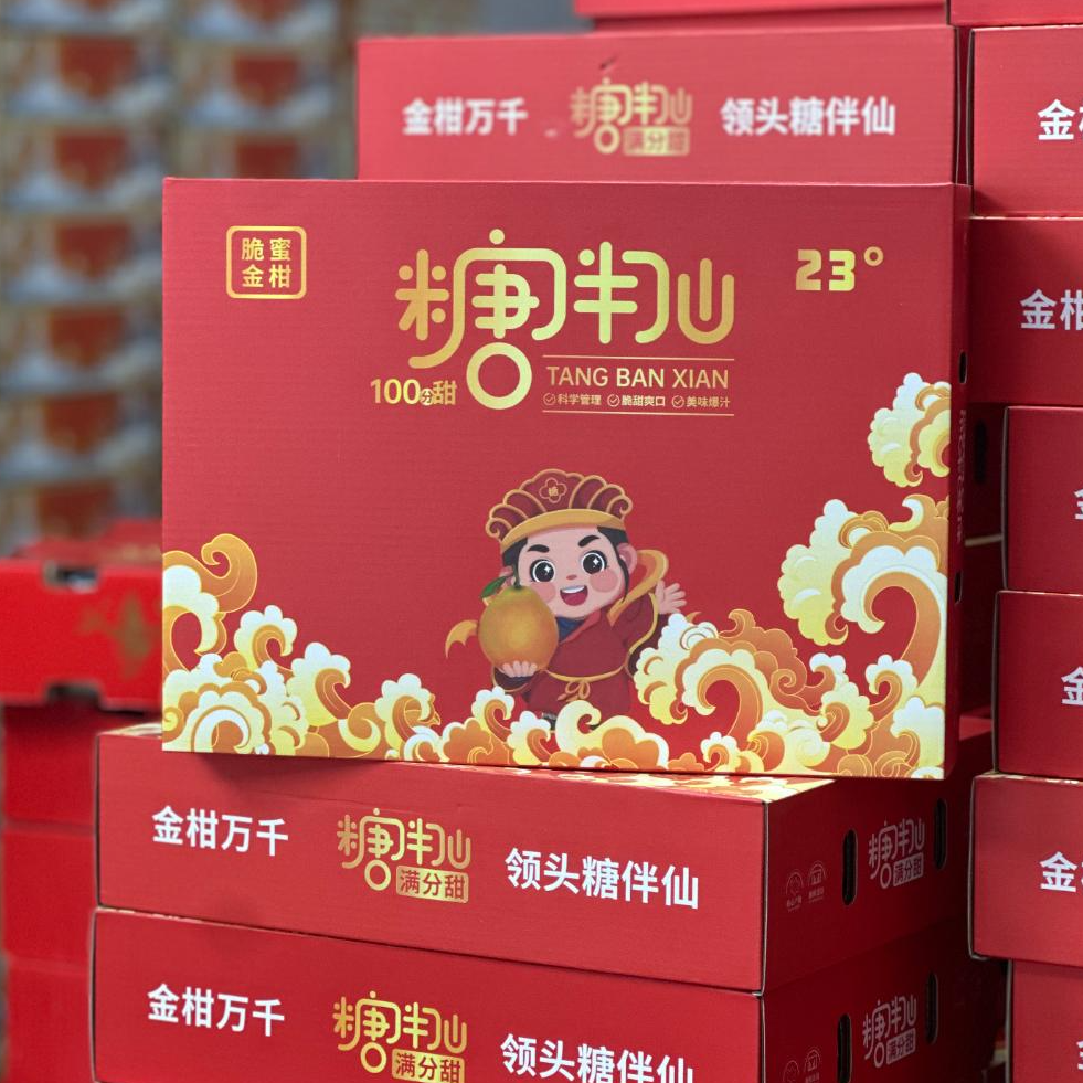 【佳节送礼】糖半仙脆蜜金柑礼盒 毛重约3斤