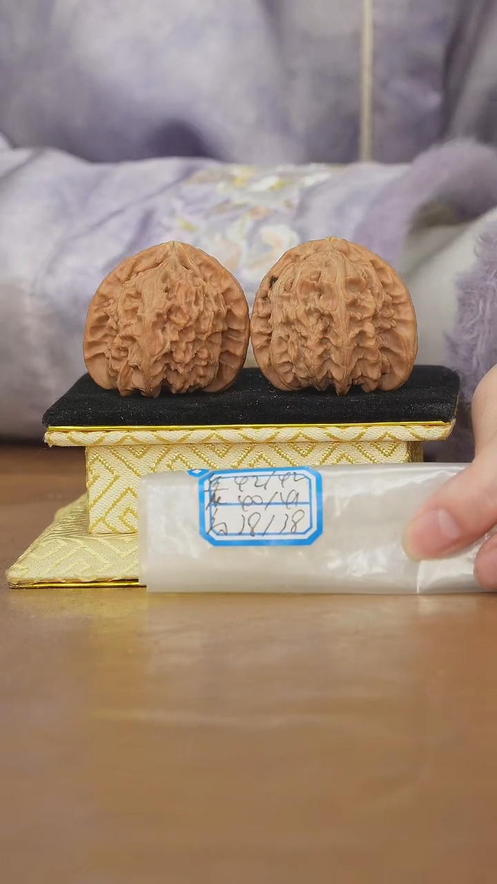 把件文玩核桃白狮子有黄不修