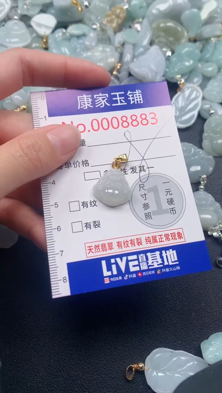 颈饰未镶嵌翡翠8883