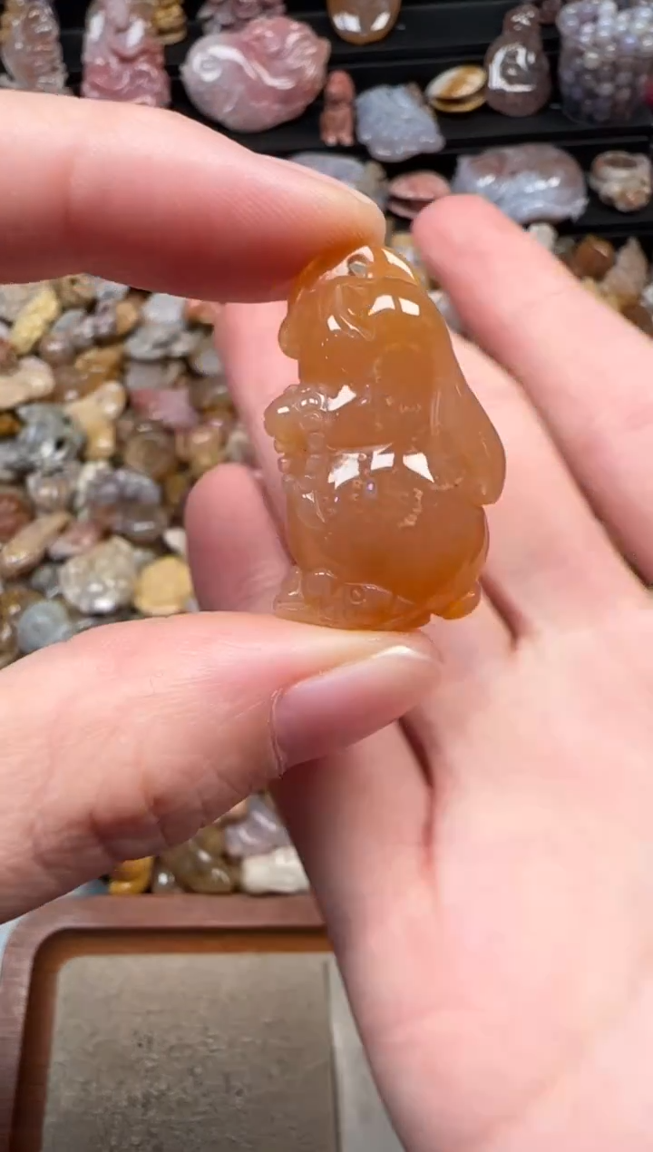 颈饰未镶嵌硅化珊瑚（珊瑚玉）746