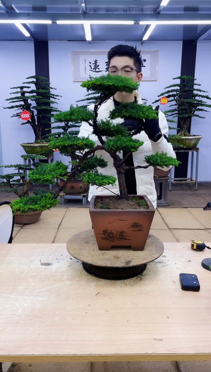 无花朵大**哥0000000000000000000