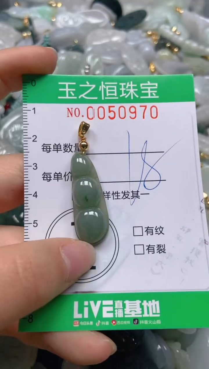 【闪购商品】翡翠颈饰未镶嵌闪购0050970