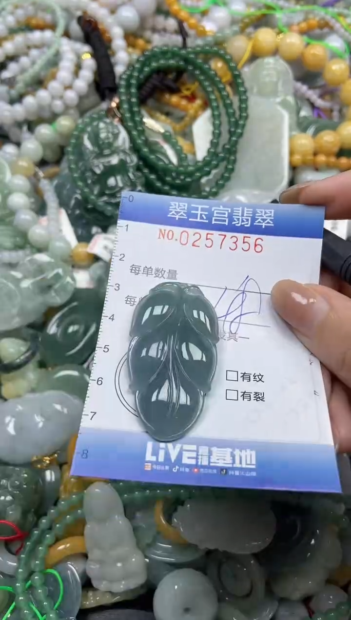 颈饰未镶嵌翡翠闪购C0257356