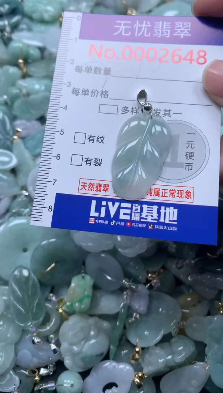 颈饰未镶嵌翡翠2648
