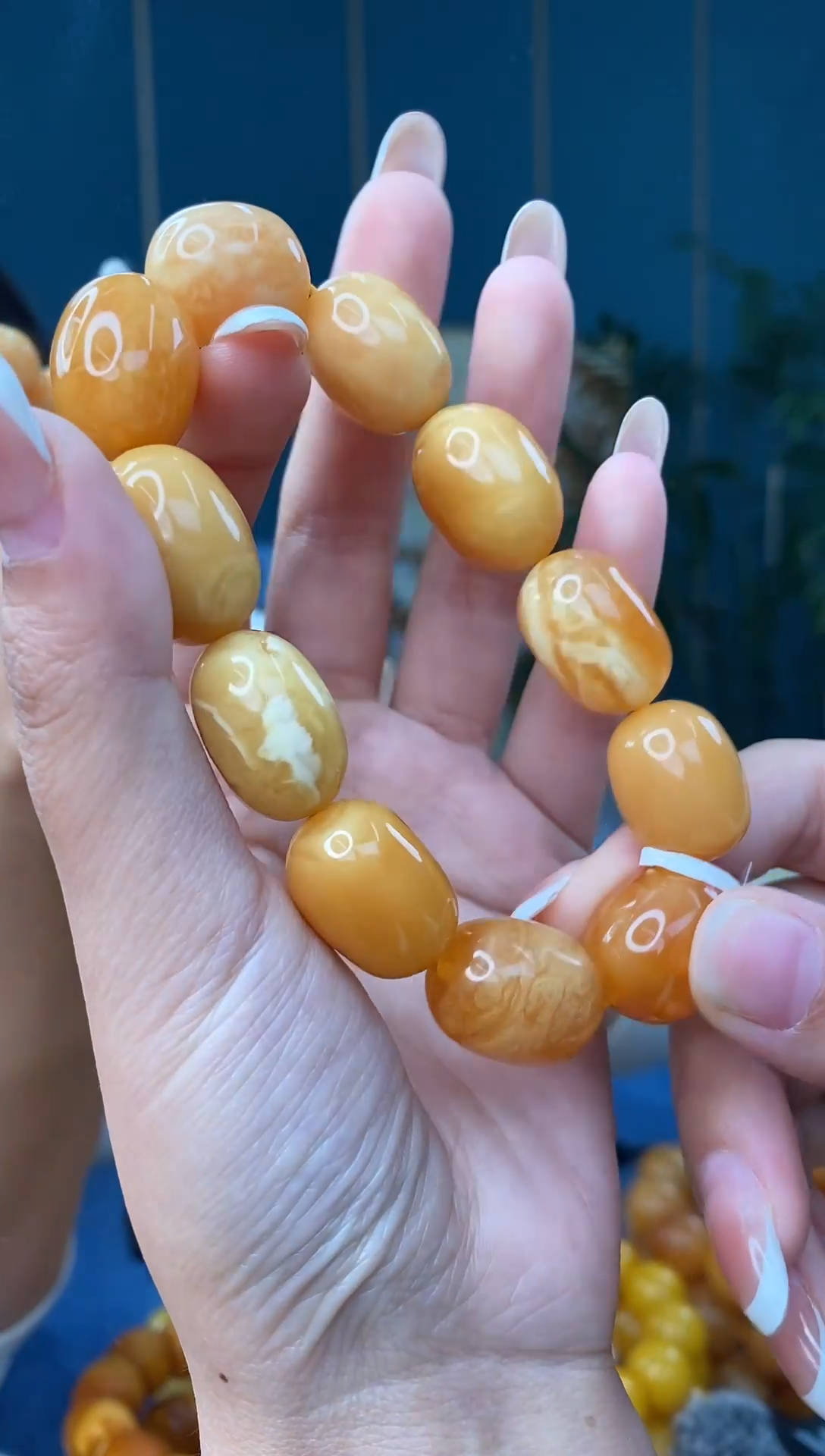 裸石琥珀未镶嵌12/26多样性发其一61