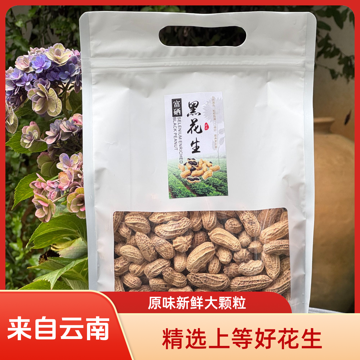 【琢耕】云南老品种富硒黑花生个头饱满香脆香甜500g/袋