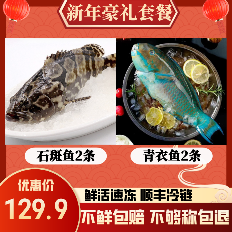 【年货组合装】2条石斑鱼+2条青衣鱼 湛江海鲜新鲜顺丰发货共3.6斤