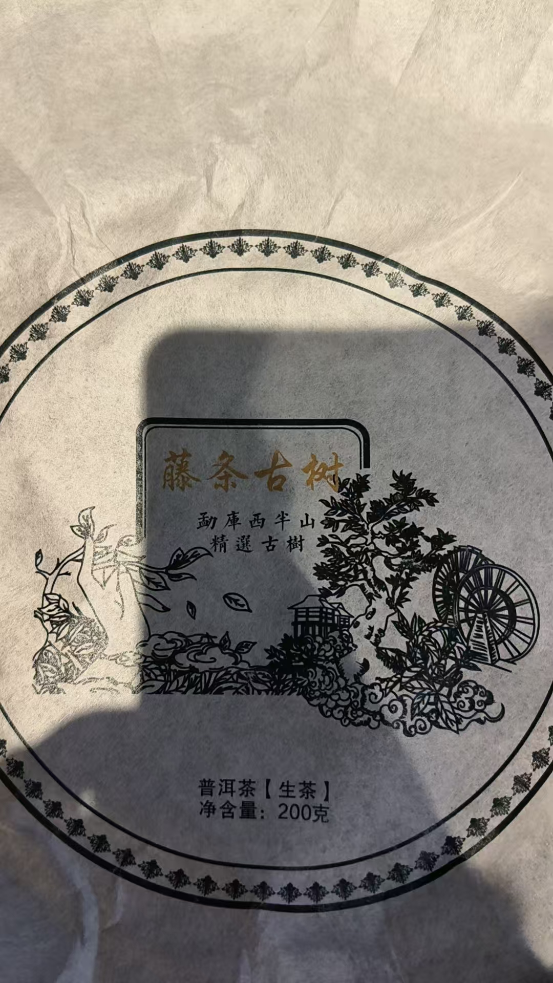 茶农联盟普洱茶  老李福利   2023年藤条古树200g/饼生茶