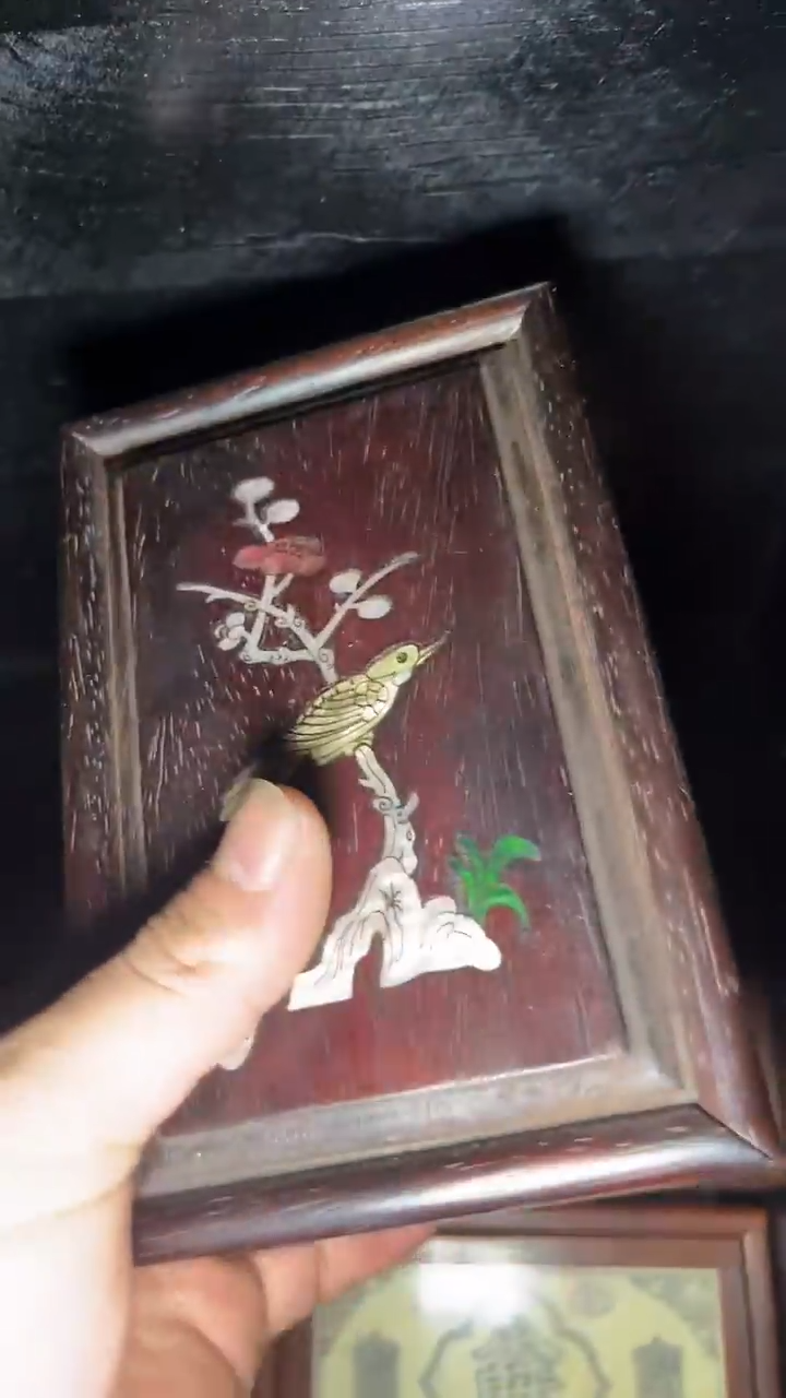 木质【闪购】——————大福利