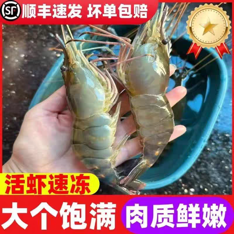 速熟罗氏虾500g1kg净出 鲜冻乌鲁木齐次日达