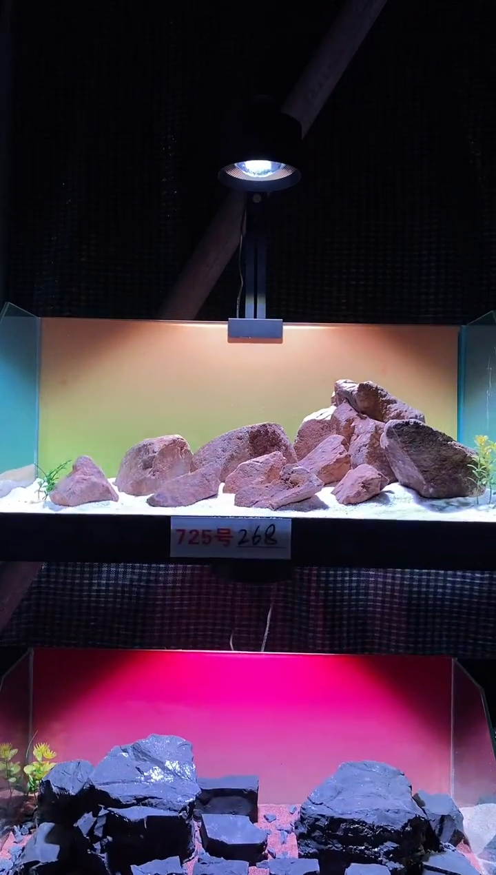 725号鱼缸造景（不含底砂）