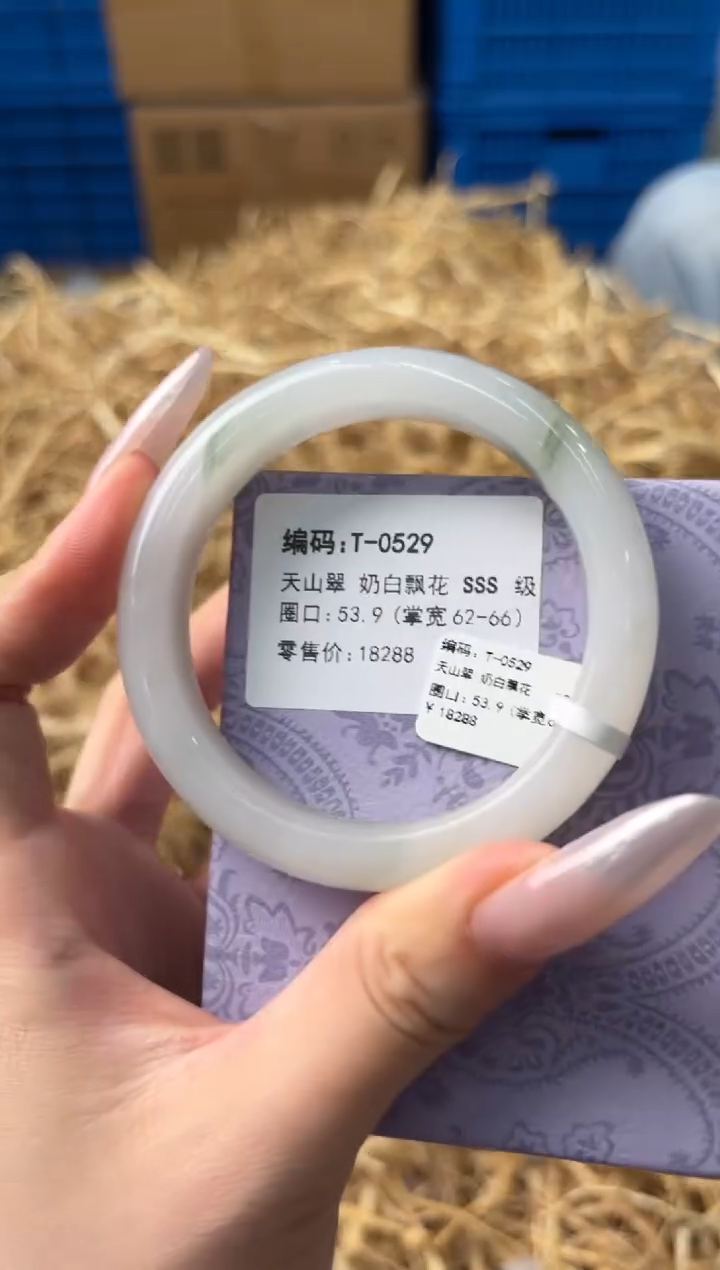 未镶嵌手镯石英质玉T-0529
