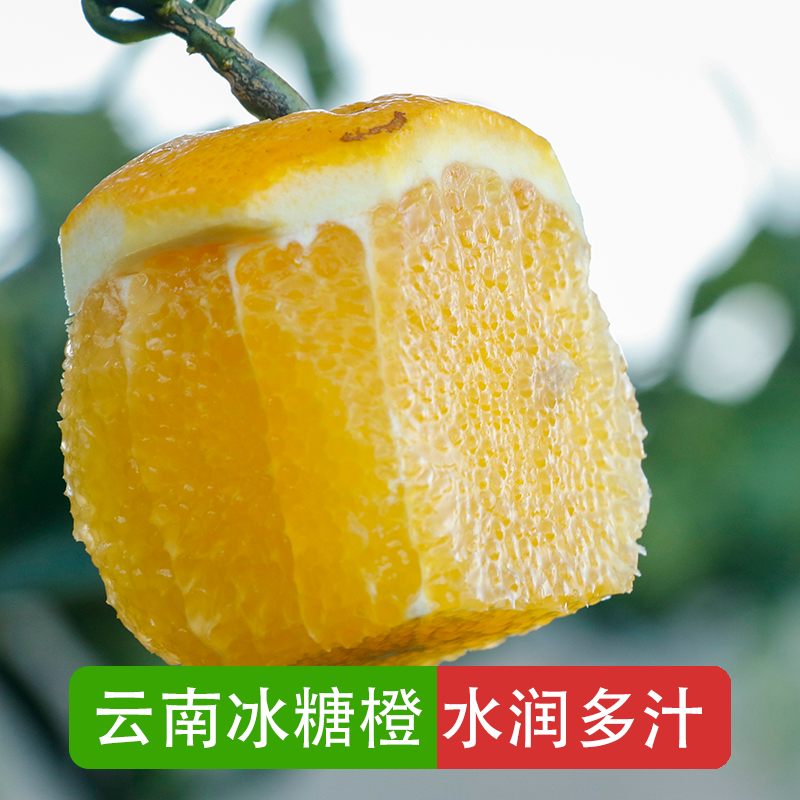 云南哀牢山冰糖橙新鲜当季现摘清甜多汁皮薄肉厚水果