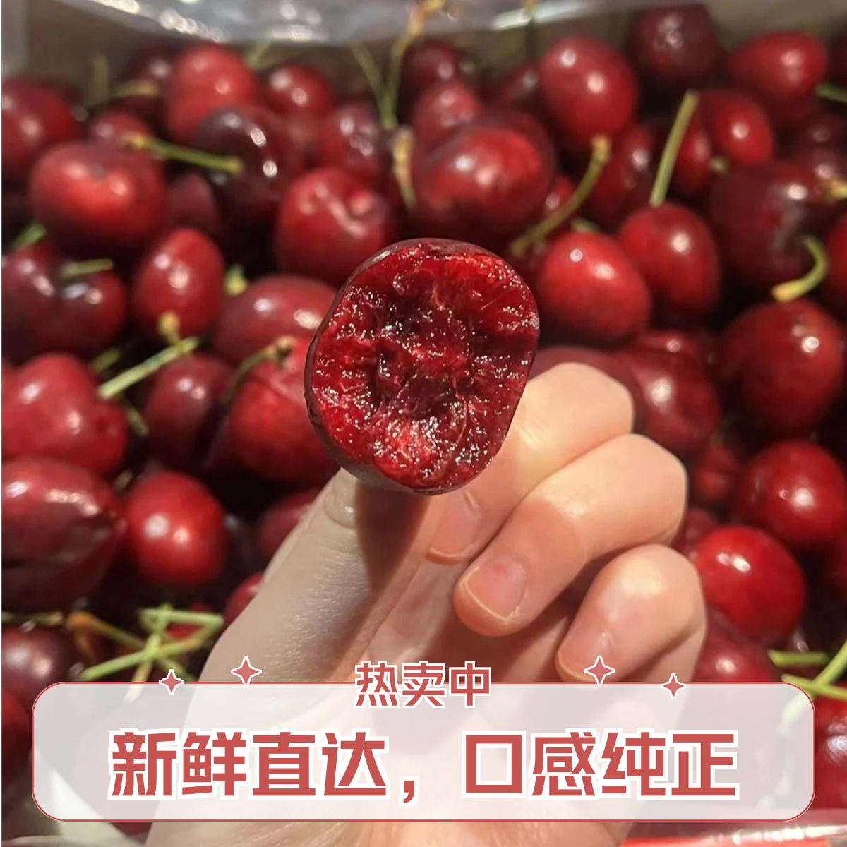 拉宾斯车厘子XL级   5斤88
