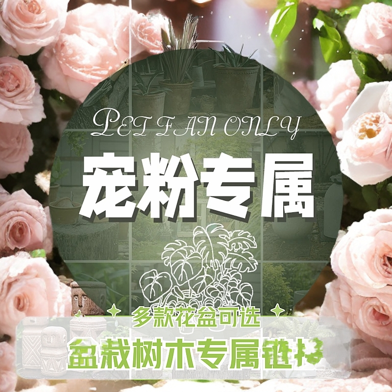 宠粉福利仿真绿植树木盆栽