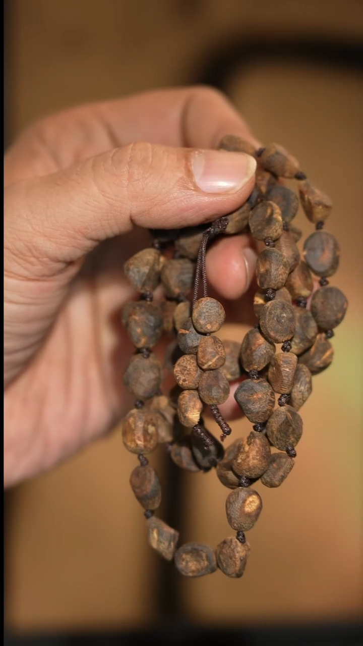 沉香手串马*海南绿奇楠沉水树丁虫漏随型长串27克