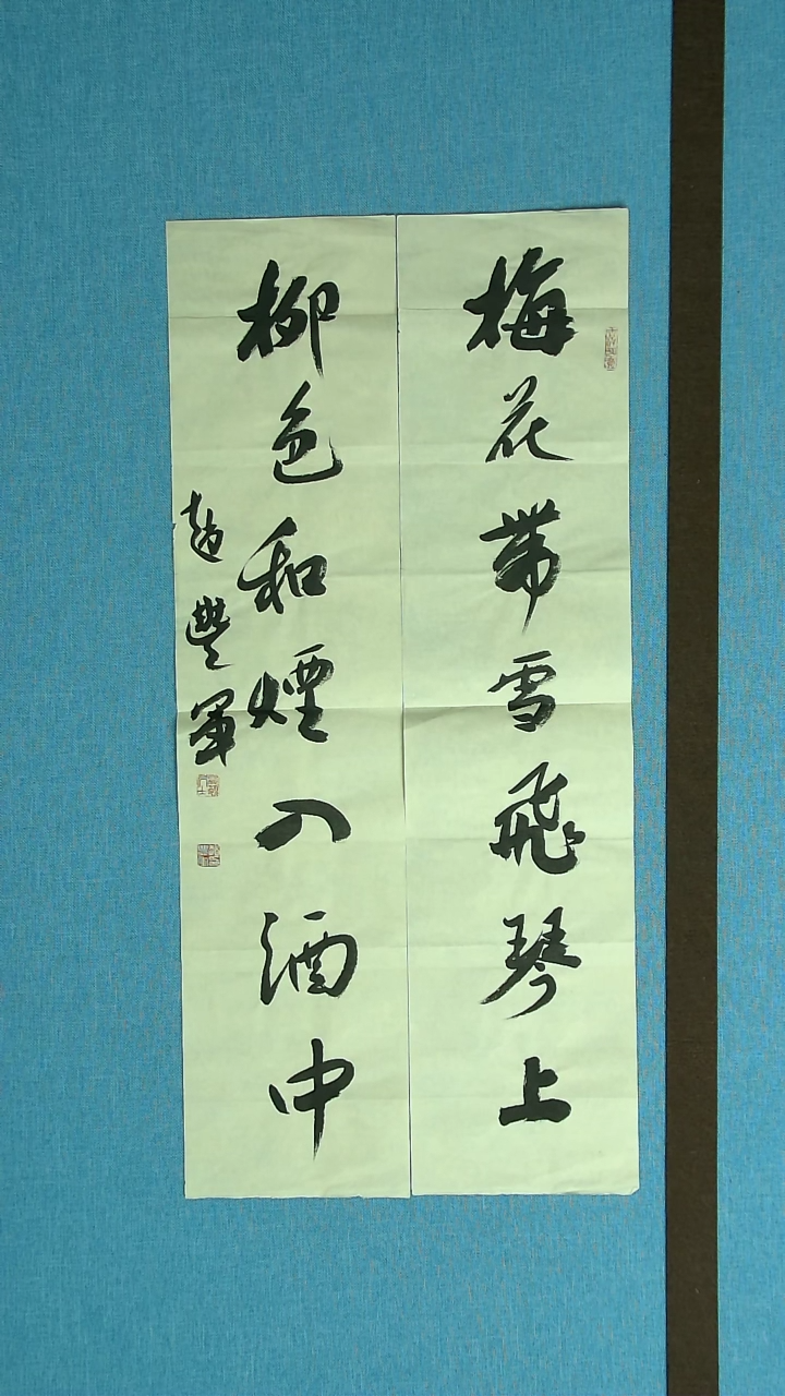 【闪购商品】书法073 河南赵丰军 中书协69*16*2