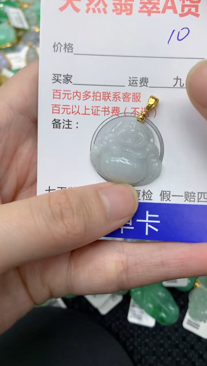 【闪购商品】翡翠颈饰合金111111111111