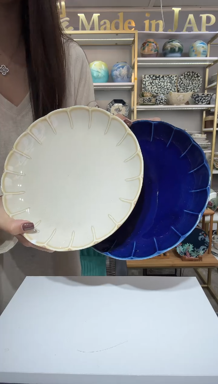 陶瓷21厘米平盘2只装（一样一只）