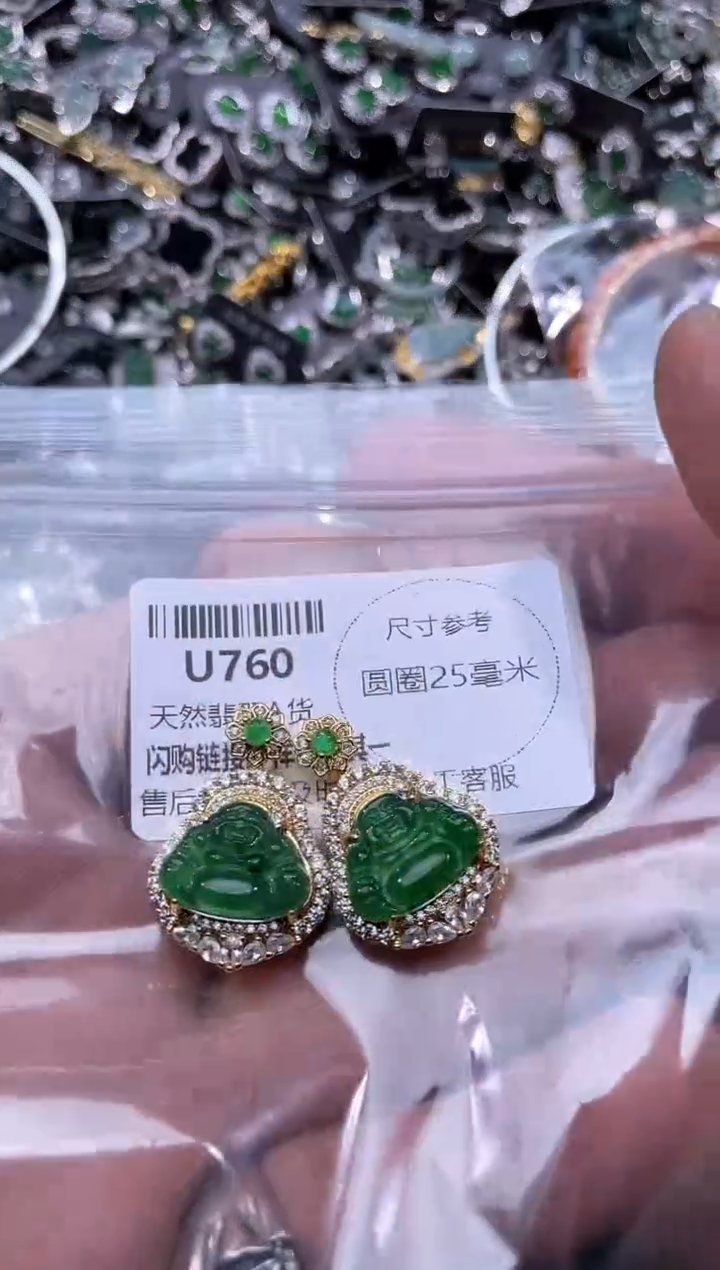 【闪购商品】翡翠颈饰未镶嵌U760多样性发其一