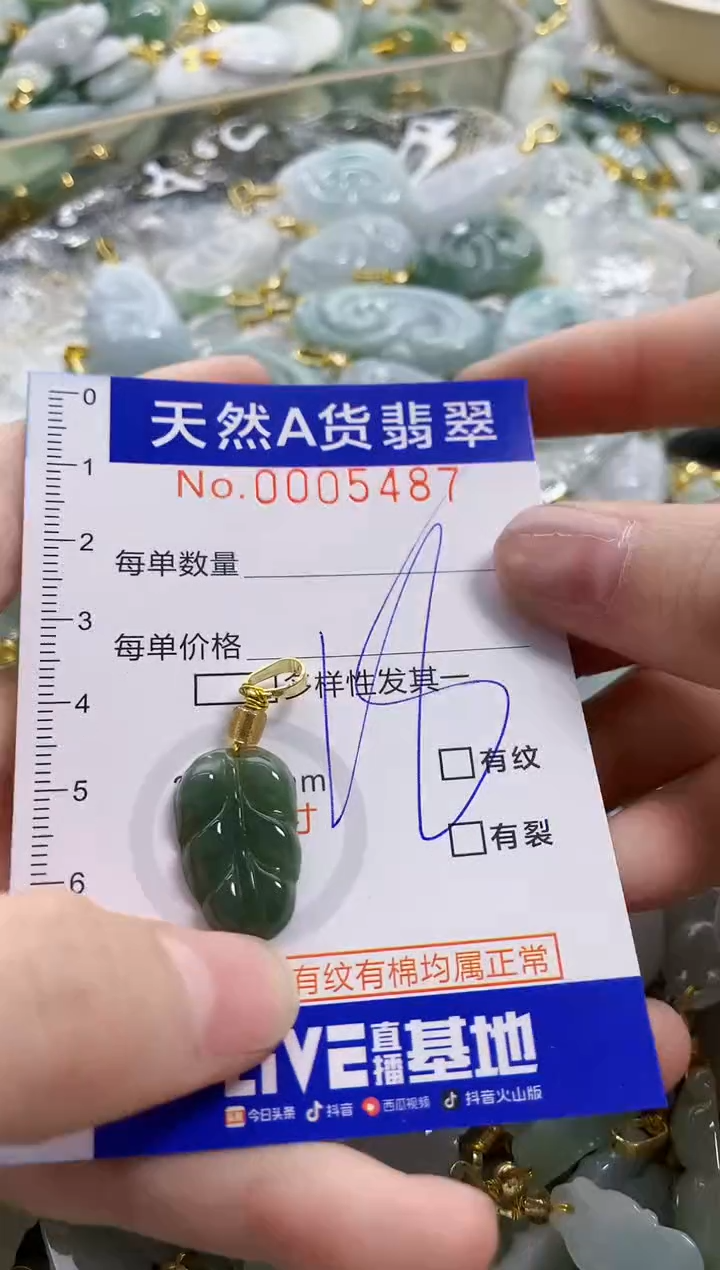 颈饰未镶嵌翡翠天然A货翡翠