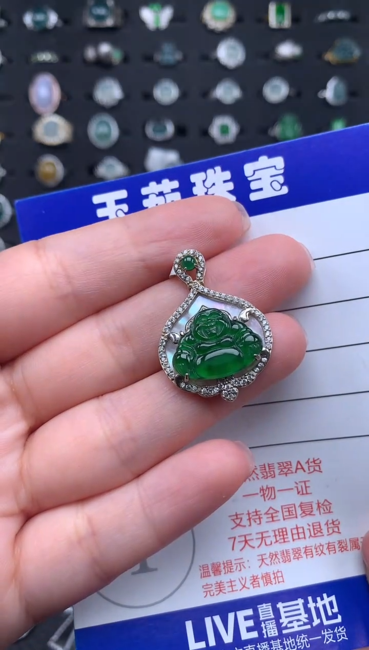 【闪购商品】翡翠颈饰银S925镶嵌234234