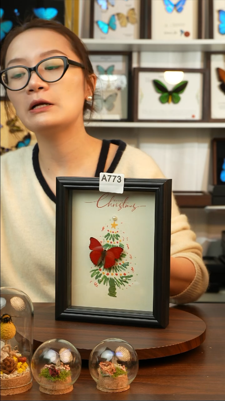 血漪蛱蝶-圣诞款（8寸方黑色欧式框）A773