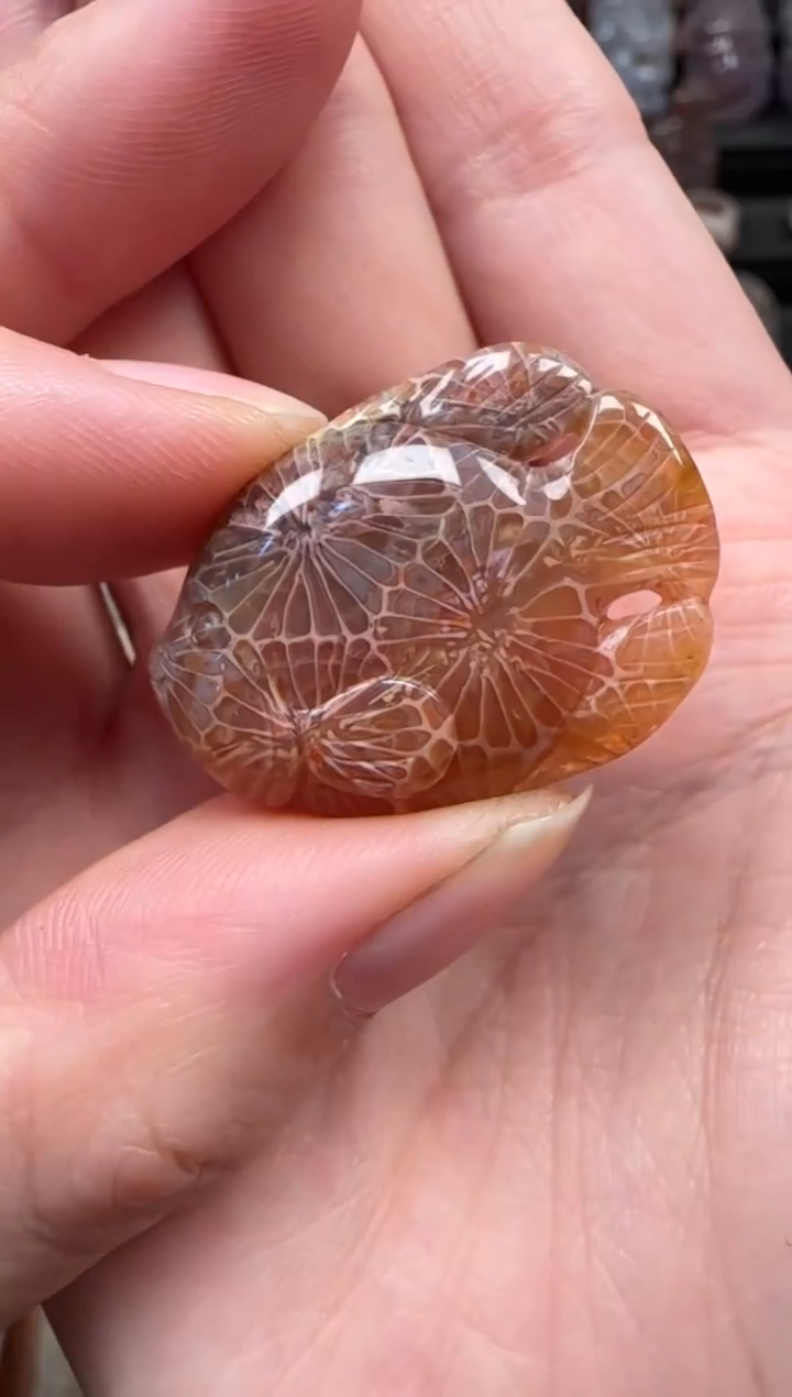 颈饰未镶嵌硅化珊瑚（珊瑚玉）409