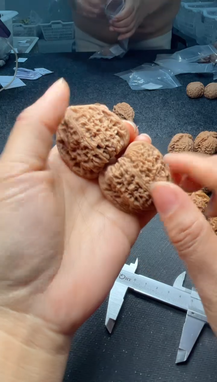 把件文玩核桃w264  白狮子 42尺