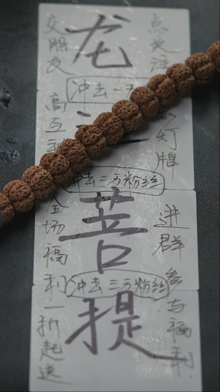 金刚菩提手串金刚菩提原生态私人订制25号19尺