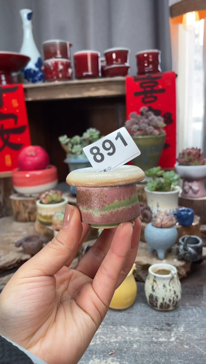 【闪购商品】摆件891知木小芳花盆