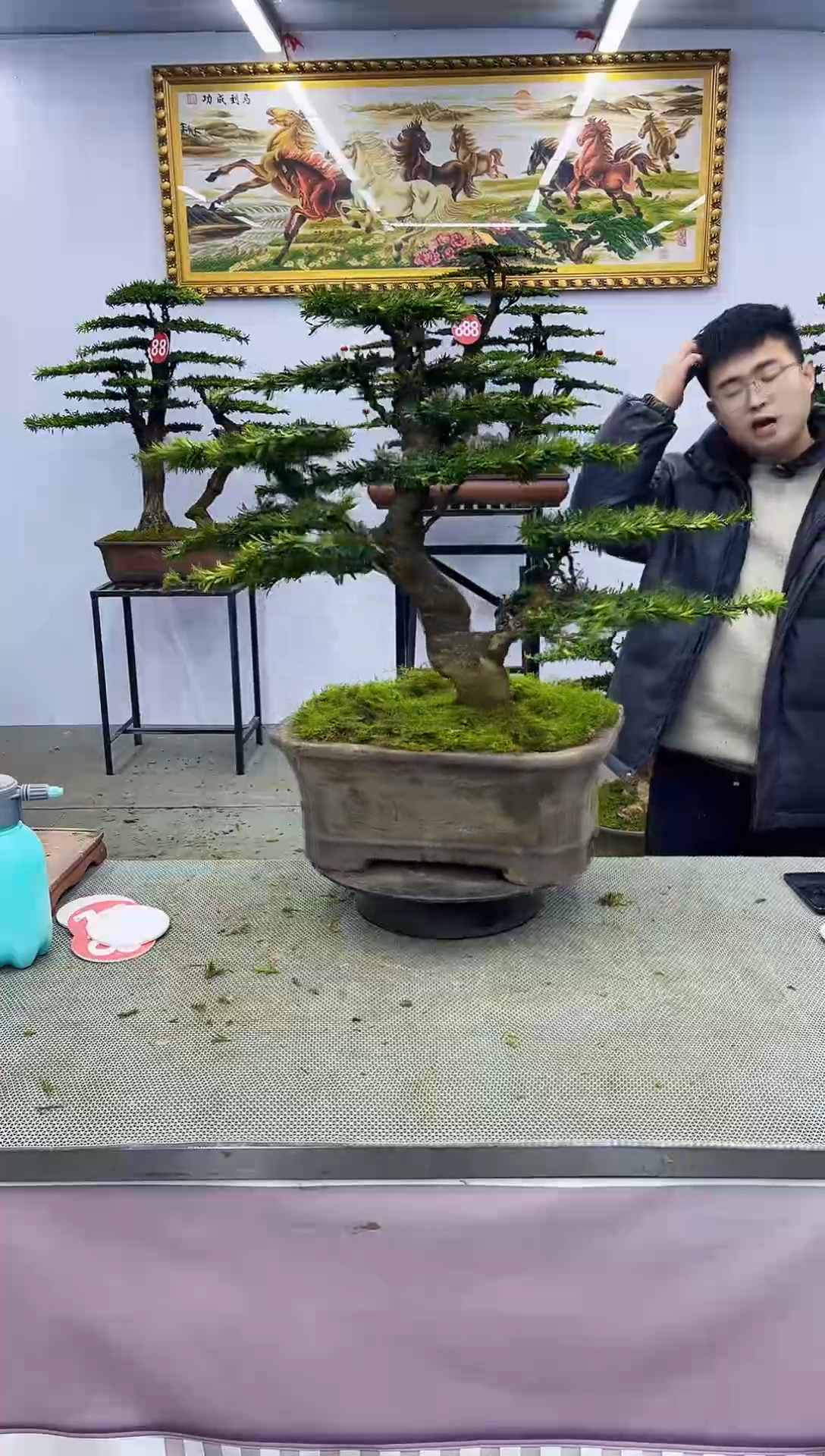 【闪购商品】一物一拍，所见即所得一物一拍，所见即所得