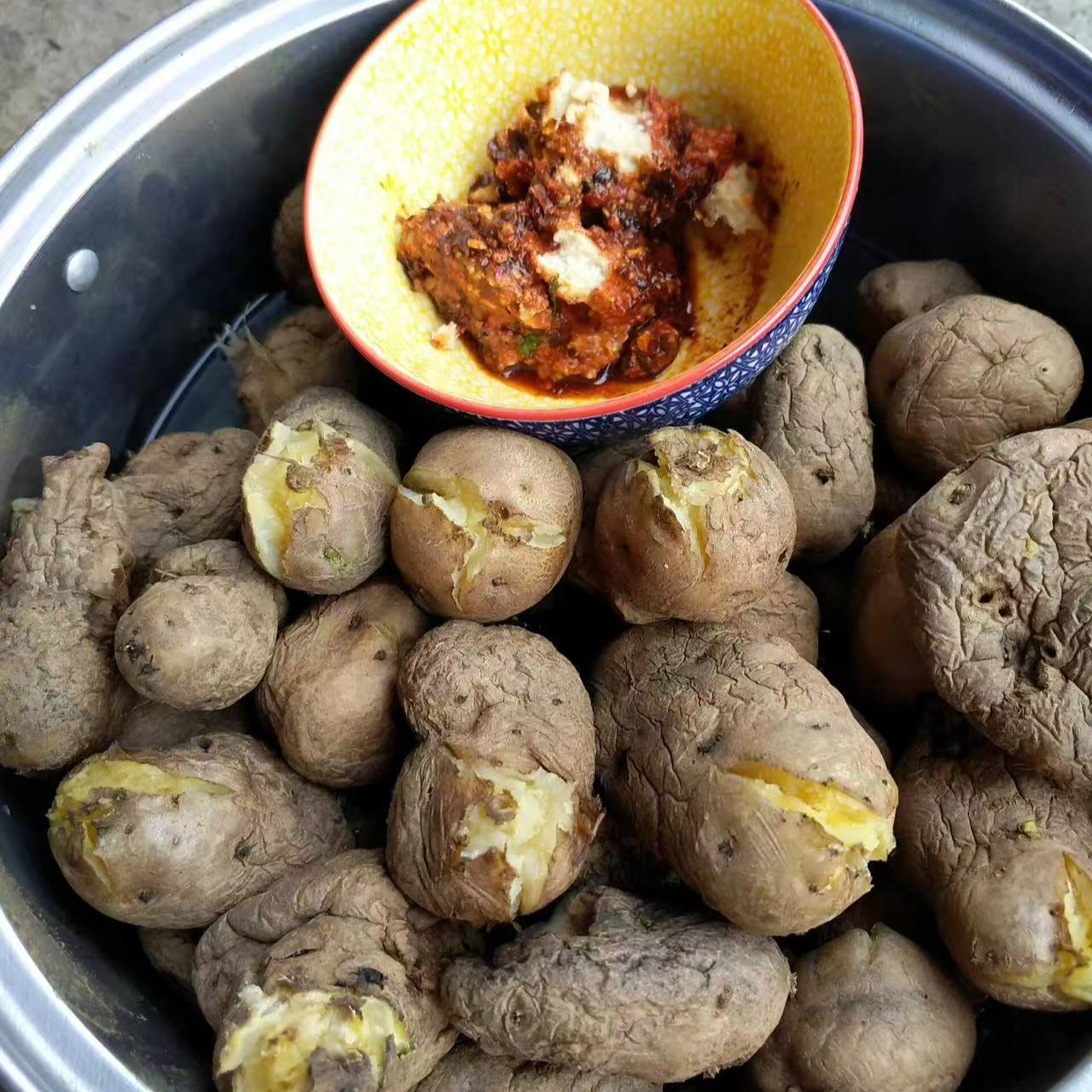 贵州高山土家自种皱起老土豆带点芽