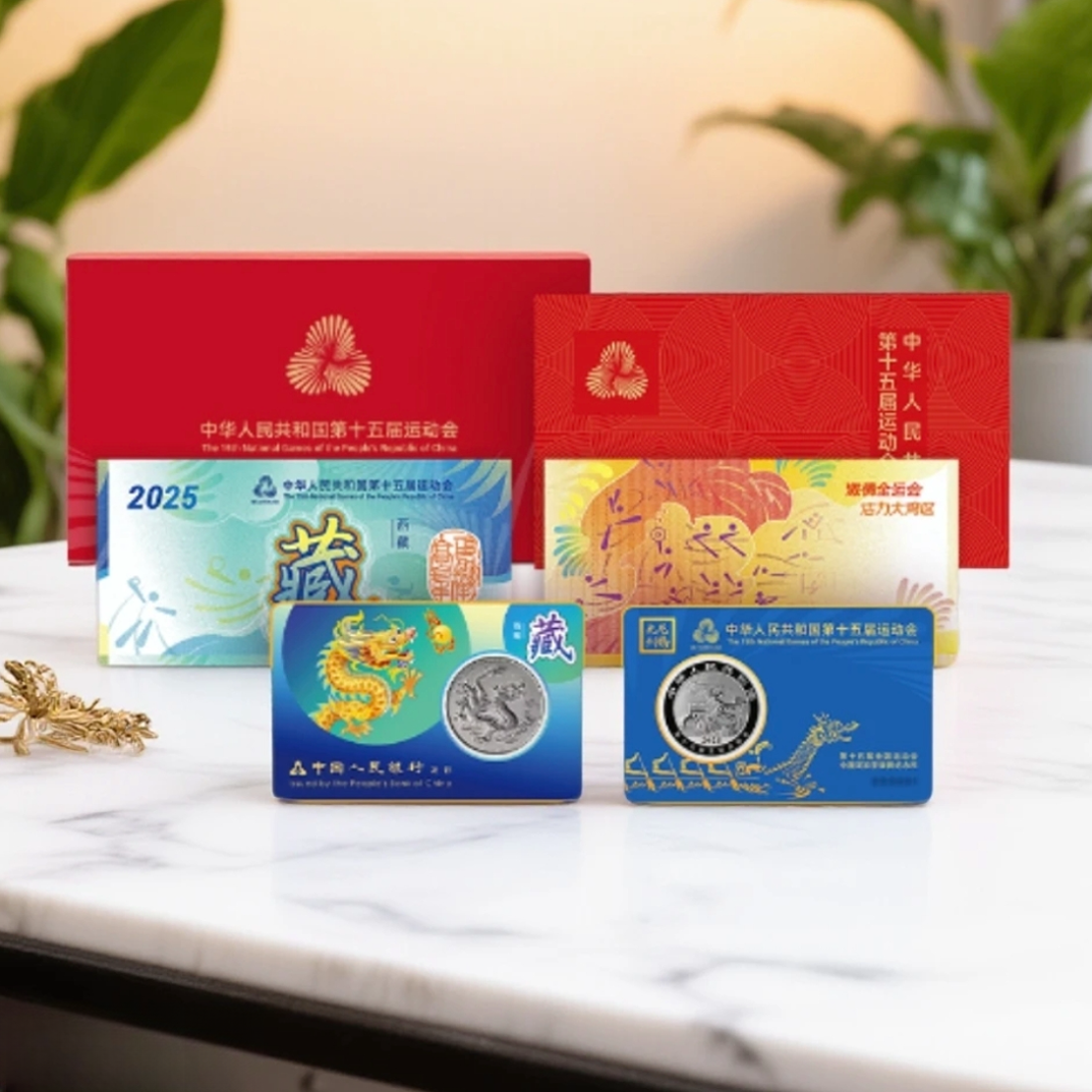 龙腾九州-十五运会中国龙加字银质纪念币（西藏）（不挑号）