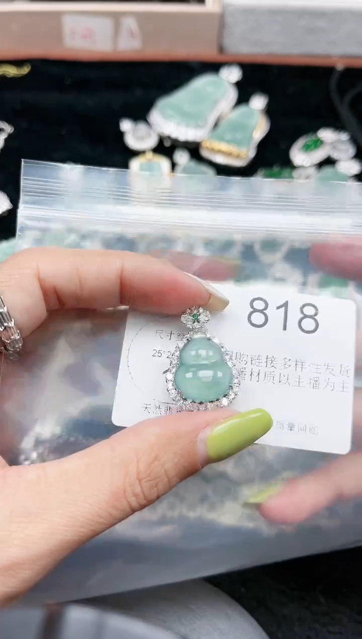 【闪购商品】翡翠颈饰未镶嵌赠皮绳818