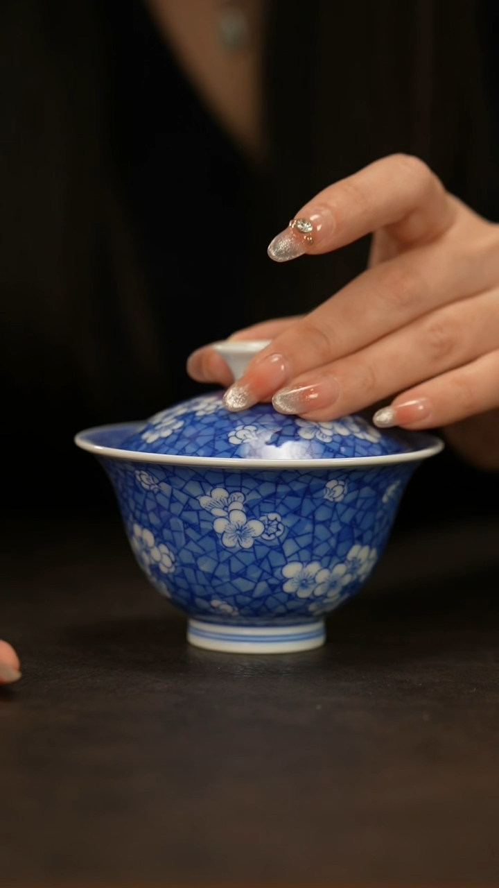 【闪购商品】瓷片春生                