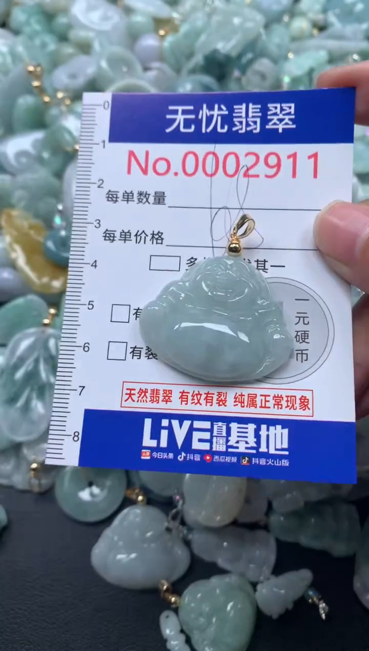 颈饰未镶嵌翡翠2911