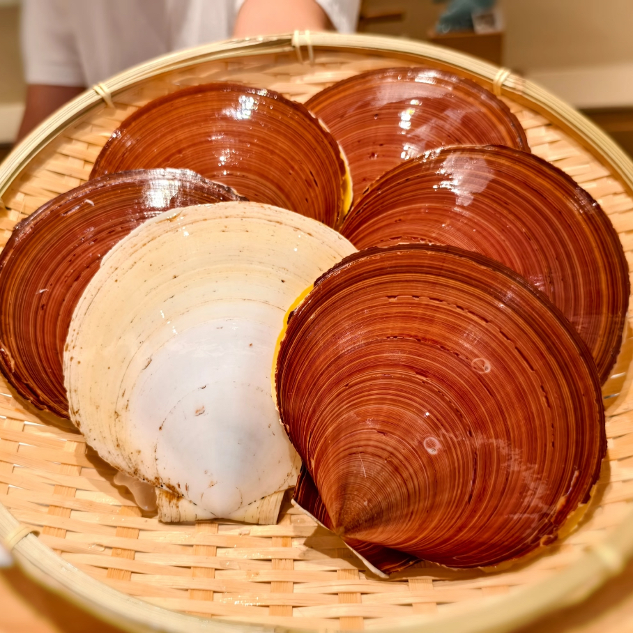 汕尾本港野生 日月贝 纯肉 