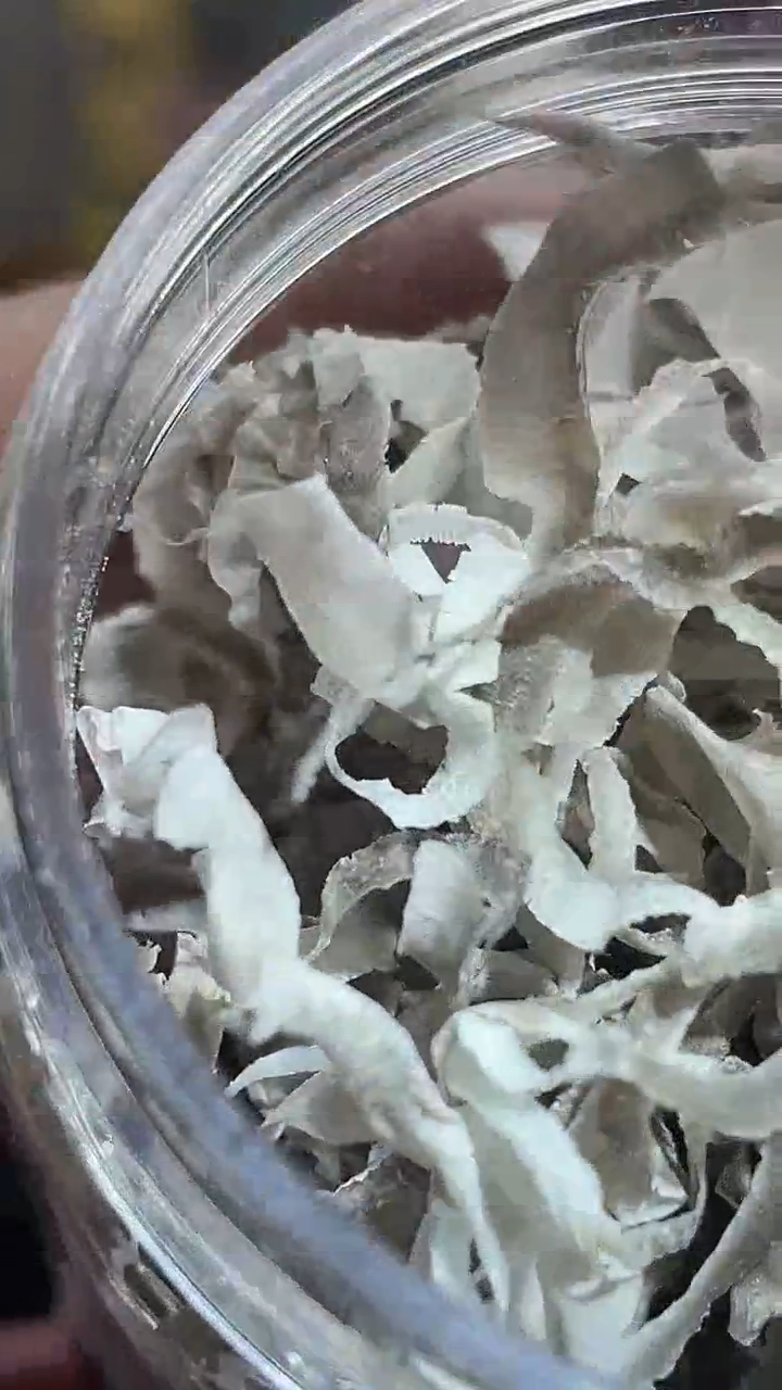 香榧木037木质木雕原创男女手串