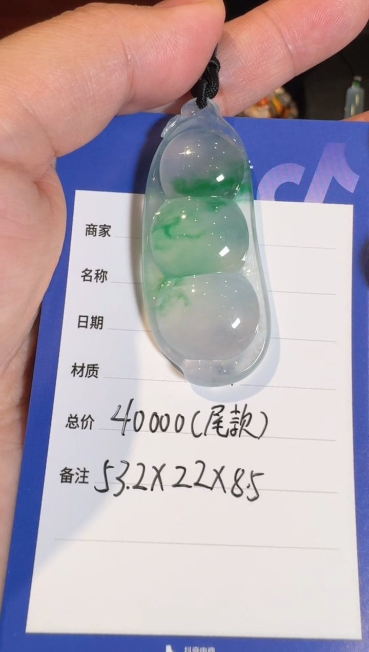 吊坠(不含链)未镶嵌翡翠天然翡翠吊坠多样性发其一（尾款）