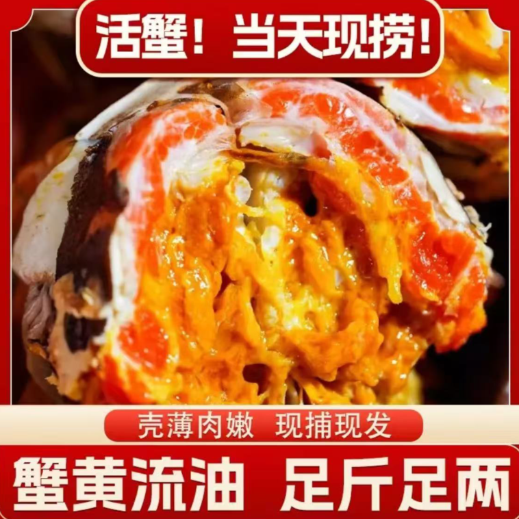 【活蟹】江苏精品大闸蟹公4.5-4.2母3.5-3.2两 10只 包邮到家